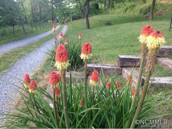 71 Persimmon Lane - Photo 11