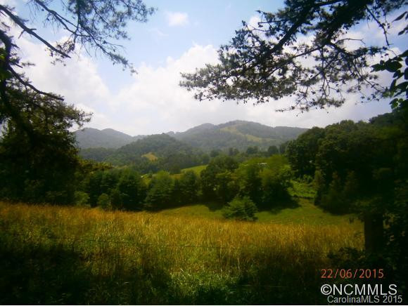 201 Tall Timbers Lane - Photo 9