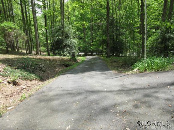 358 Left Fork Run - Photo 4