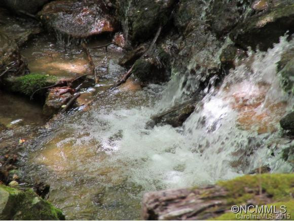 358 Left Fork Run - Photo 5