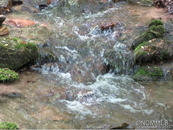 358 Left Fork Run - Photo 6