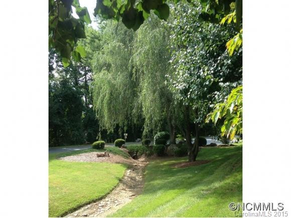 305 PINEY MOUNTAIN DR, M-2 - Photo 4
