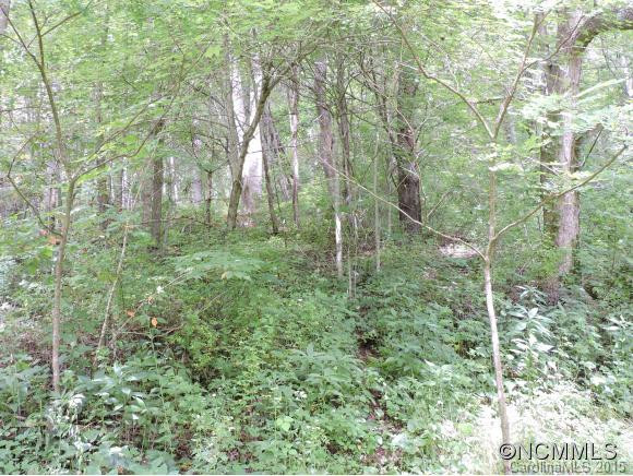 1994 Bald Mountain road - Photo 21