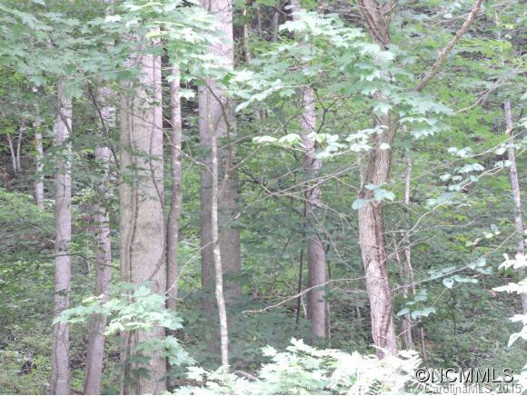1994 Bald Mountain road - Photo 22