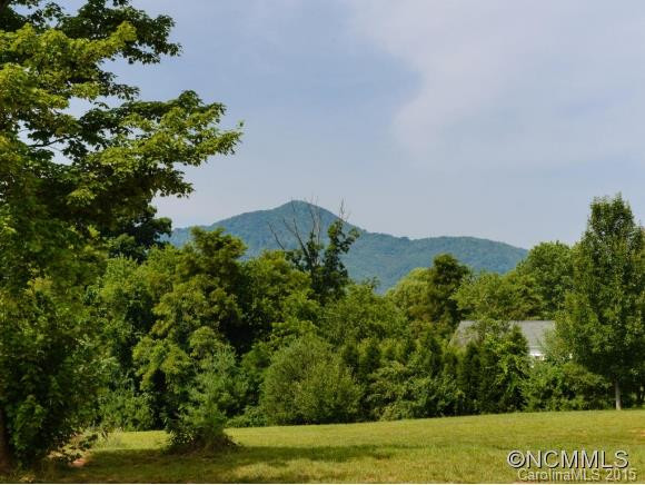 295 Luther Road - Photo 5