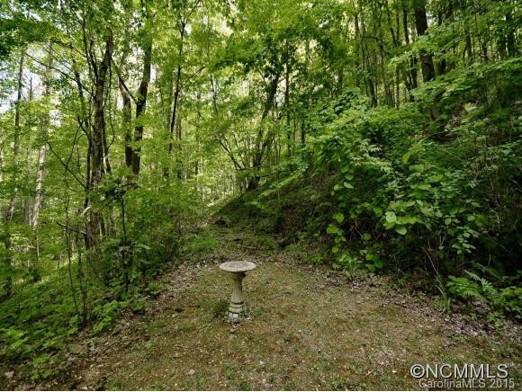 2223 Secluded Valley Road - Photo 17