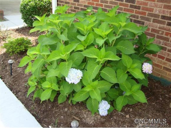 39 N CREEKSIDE CT - Photo 21