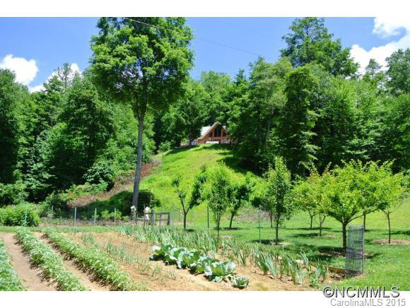 144 Elk Wallow Mountain Road Road - Photo 2