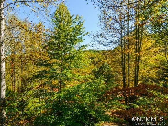 53 Hidden Cove Road - Photo 11