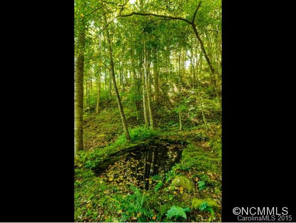 53 Hidden Cove Road - Photo 13