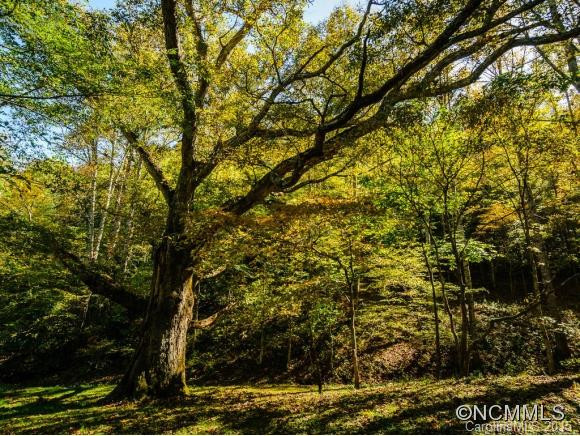 53 Hidden Cove Road - Photo 17