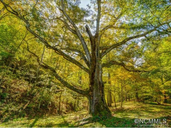 53 Hidden Cove Road - Photo 19