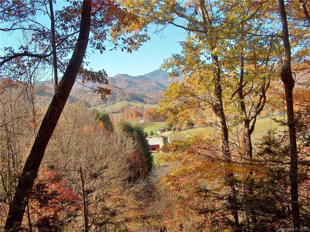 1106 Utah Mountain Road - Photo 3
