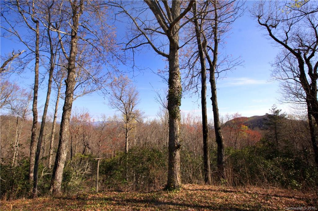 479 Morgan Mountain Road - Photo 2