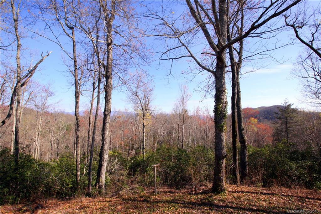 479 Morgan Mountain Road - Photo 19
