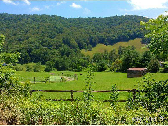 16 N Coyote Springs Farm Rd - Photo 16