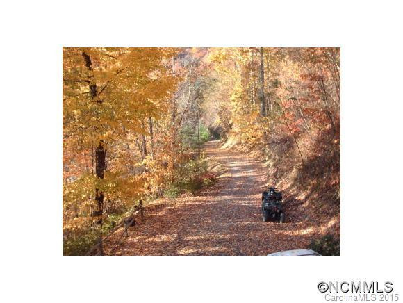 39 Moonshine Holler - Photo 3