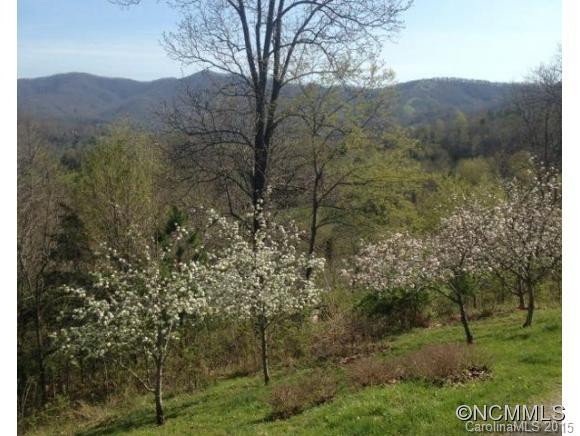 150 LEDFORD AND CRAINE RD - Photo 21