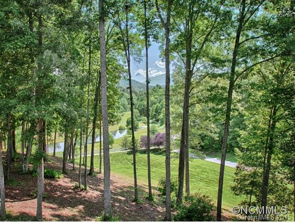 311 BRADENTON KNOLL - Photo 24