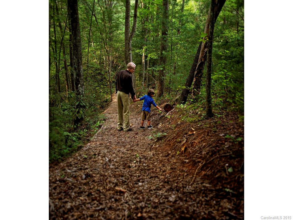 12 Clear Water Trail - Photo 18