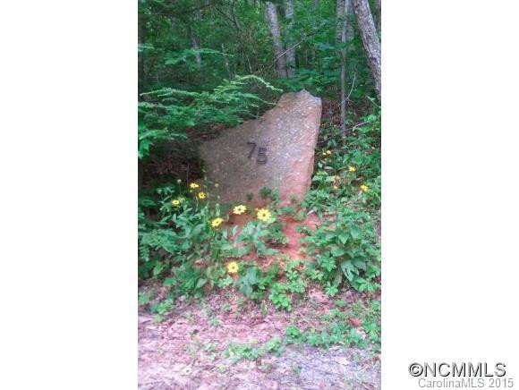 75 Reed Road - Photo 3