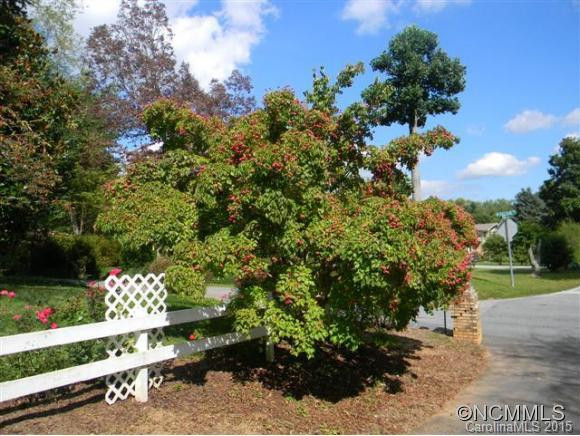 228 Balsam - Photo 20