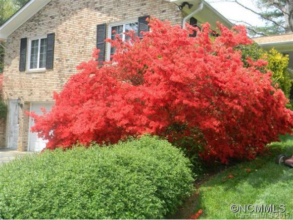 228 Balsam - Photo 22