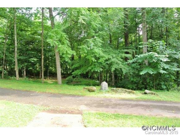 276 US Hwy 221 South - Photo 13