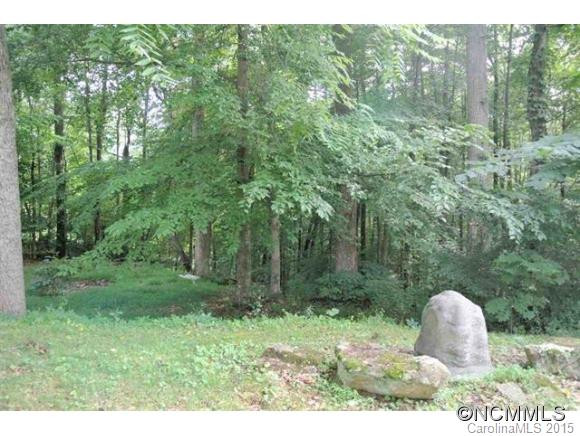 276 US Hwy 221 South - Photo 14