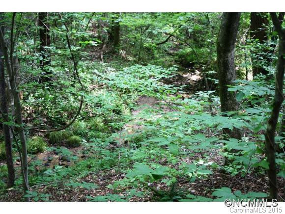 164 Turkey Track Lane - Photo 17