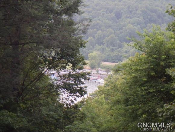 361 Asa Gray - Photo 11