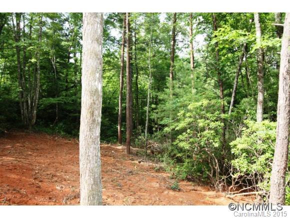 483 Deep Woods Lane - Photo 8