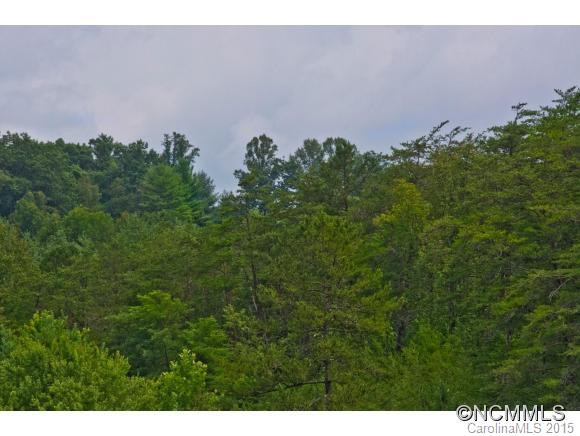 211 Old Gibbs Road - Photo 12