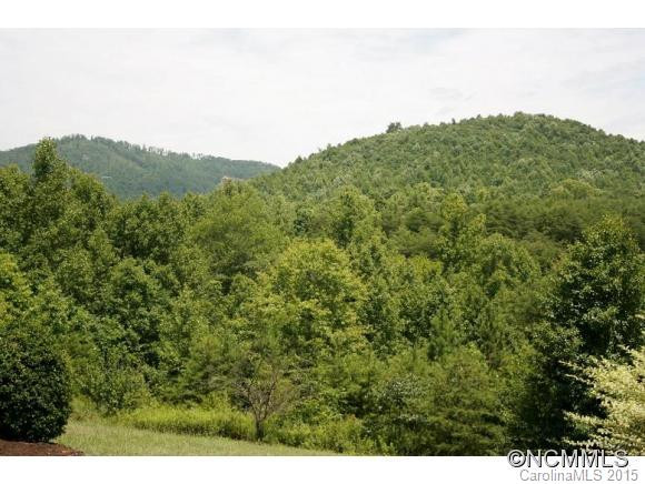 154 MARLOWE TRAIL - Photo 2
