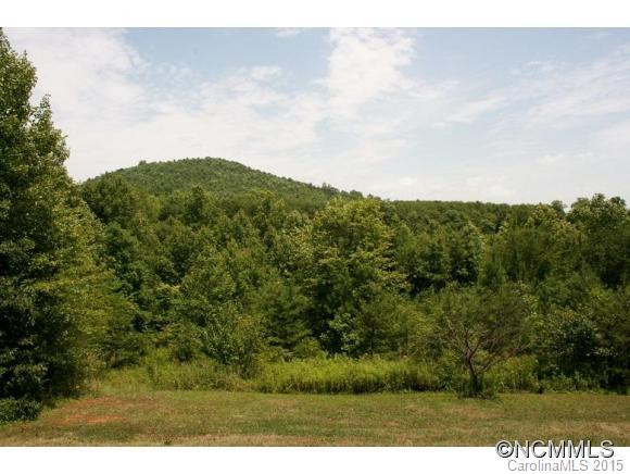 154 MARLOWE TRAIL - Photo 16