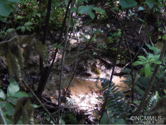 1437 Line Runner Ridge Road - Photo 2