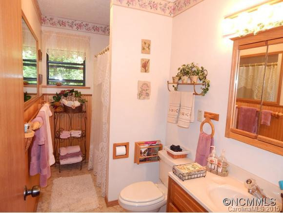 1437 Line Runner Ridge Road - Photo 11