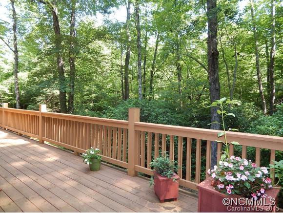 1437 Line Runner Ridge Road - Photo 18