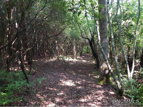 1437 Line Runner Ridge Road - Photo 3