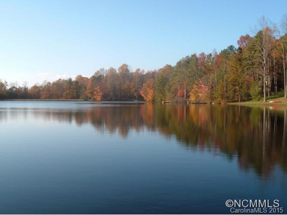1437 Line Runner Ridge Road - Photo 21