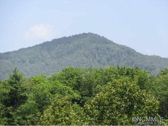 458 Thomas Ridge Loop - Photo 3