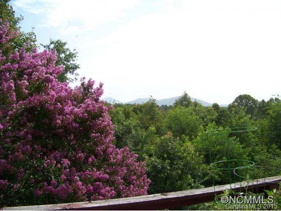 113 Silent Forest Way - Photo 10