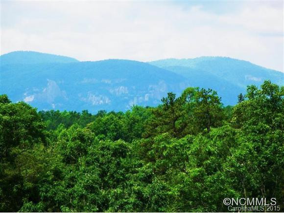 145 Johns Hollow Drive - Photo 4