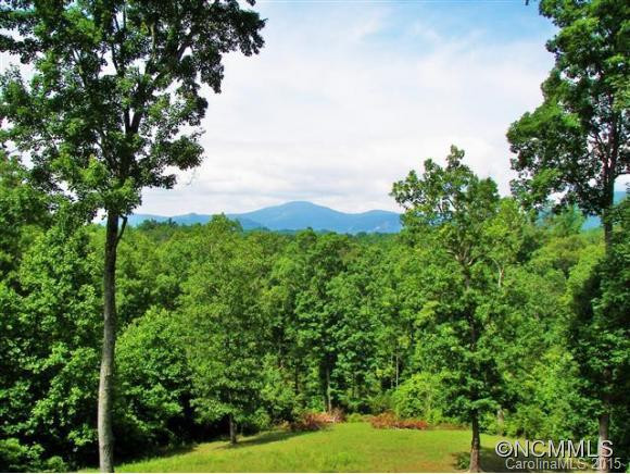 145 Johns Hollow Drive - Photo 5