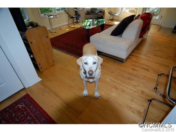 48 Whitaker View - Photo 21