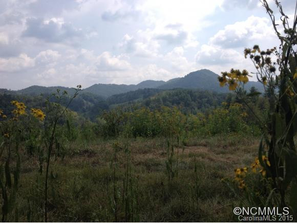 255 Mountain Cove Rd - Photo 18