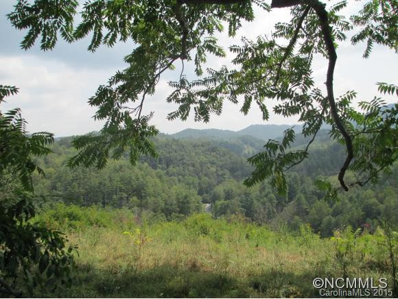 255 Mountain Cove Rd - Photo 19