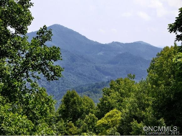 246 Forest Rose Lane - Photo 2
