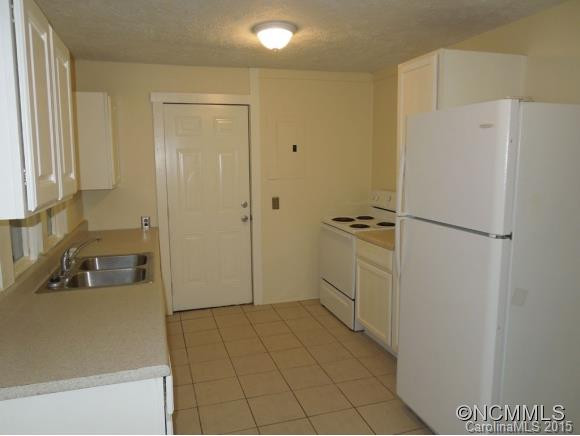 826 SWANNANOA RIVER RD - Photo 3