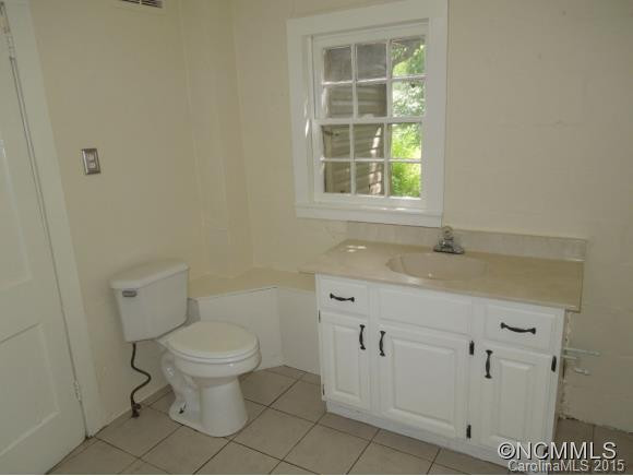 826 SWANNANOA RIVER RD - Photo 4